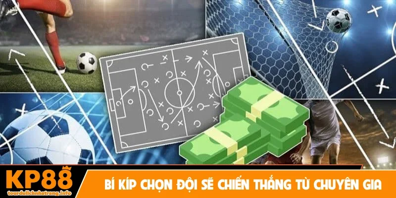Bí kíp chọn đội sẽ chiến thắng từ chuyên gia