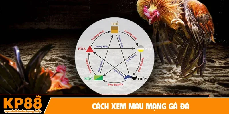 cách xem màu mạng gà đá