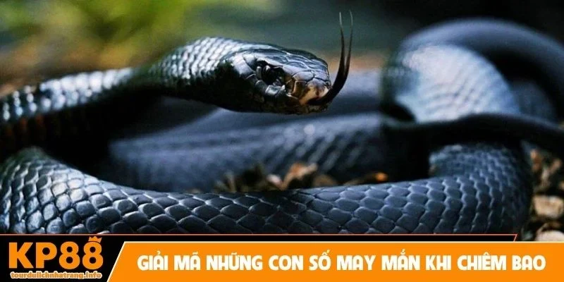 Giải mã những con số may mắn khi nằm chiêm bao