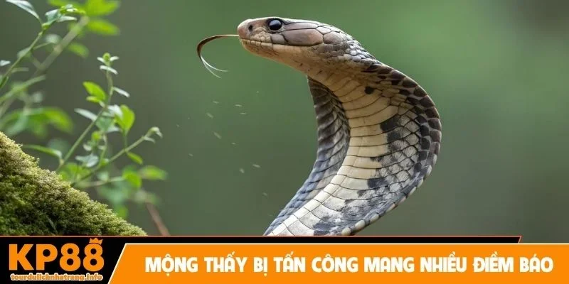 Mộng thấy bị tấn công bất ngờ mang nhiều điềm báo