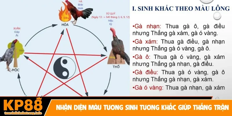 Nhận diện màu tương sinh tương khắc giúp thắng trận